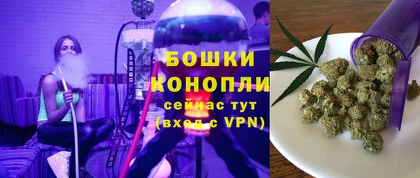прущие грибы Абдулино